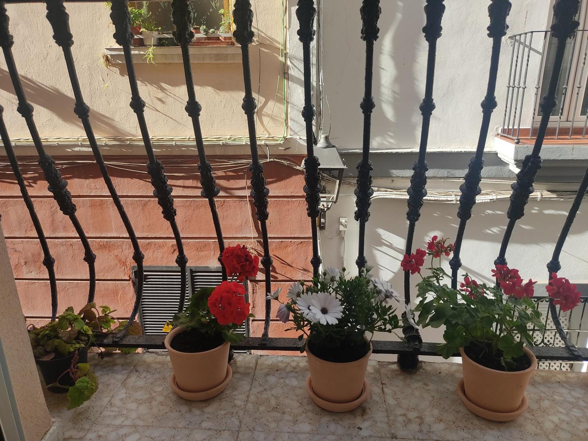 Ferienwohnung Estreno Centro Y Playa Cádiz Exterior foto